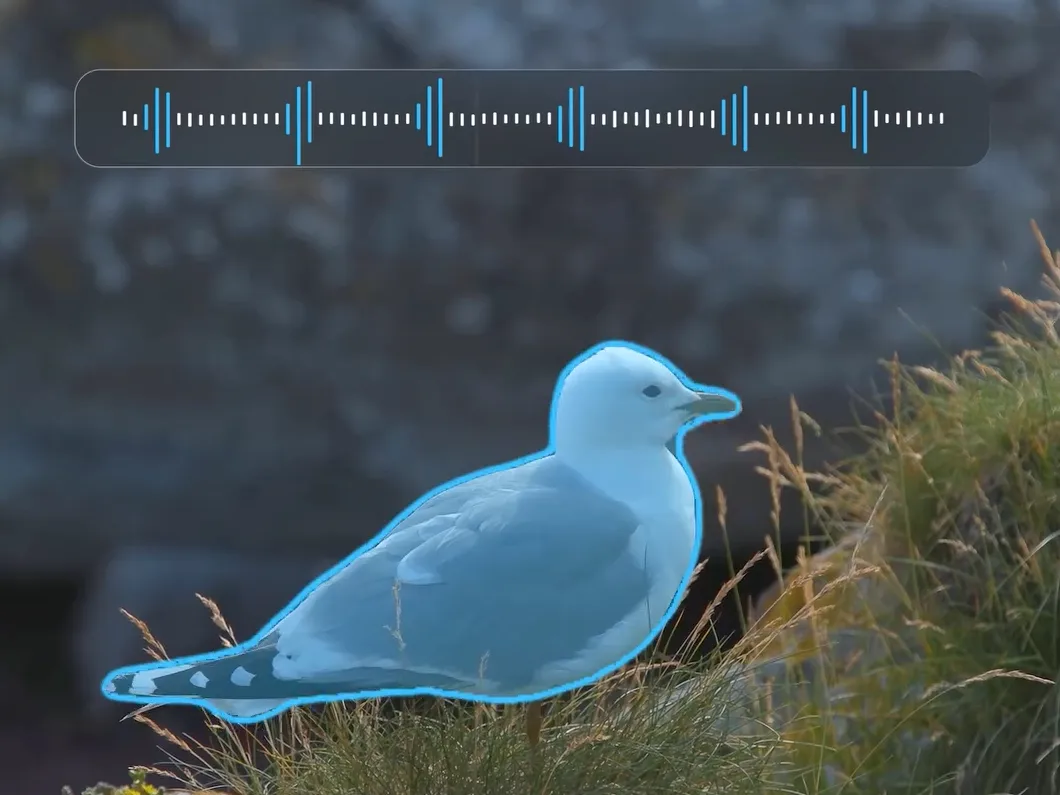 SAM Audio Span Prompt